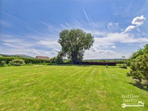 Garden- click for photo gallery